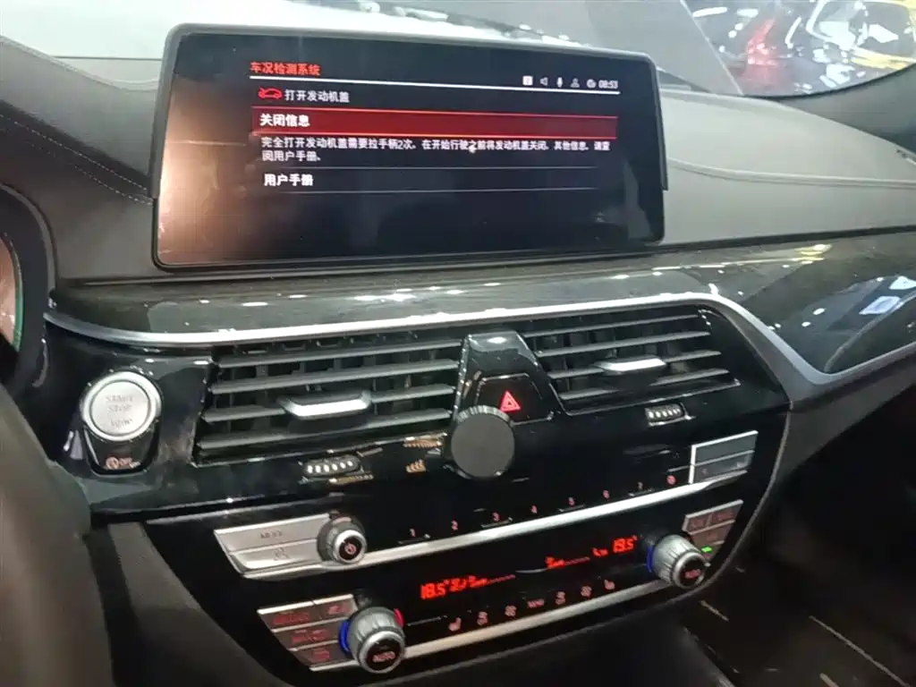 BMW 5 Series 2020 530Li Leading M Sport Package фото 13