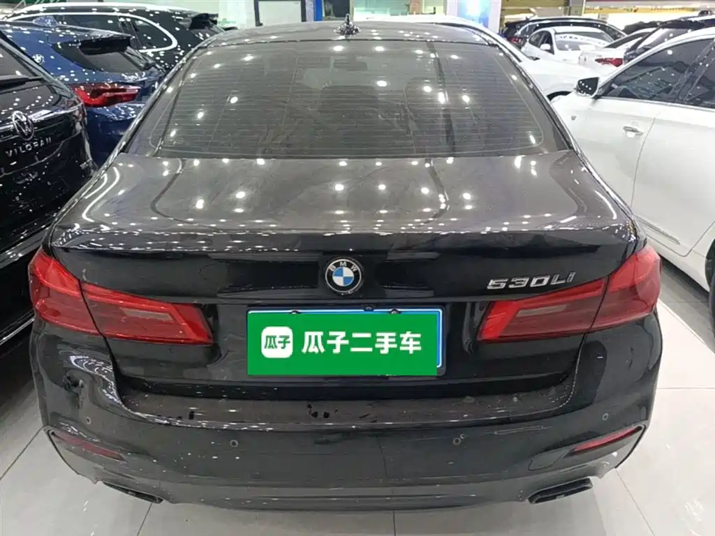 BMW 5 Series 2020 530Li Leading M Sport Package фото 6