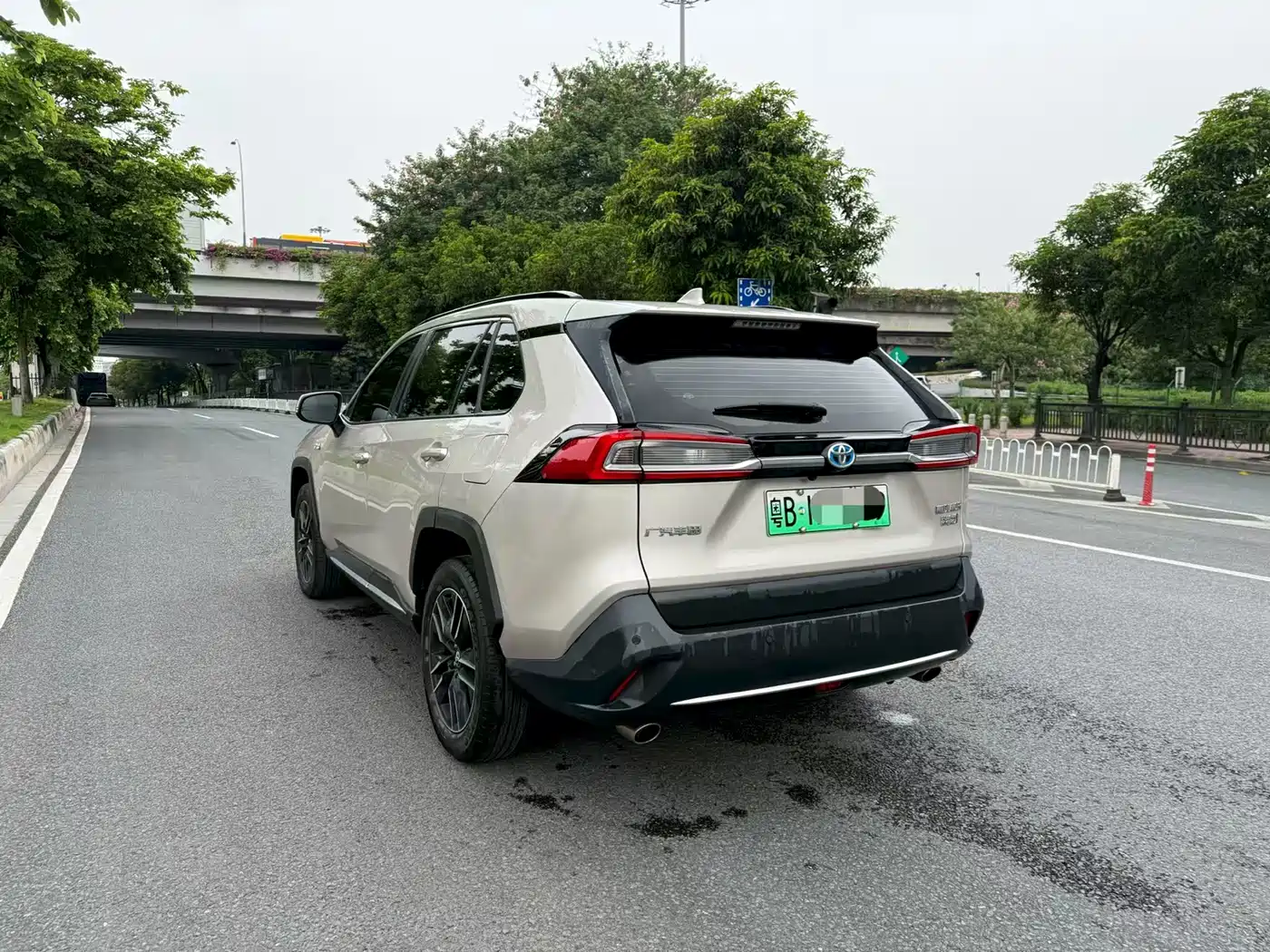Toyota Wildlander New Energy 2022 2021 High Performance 2.5L 2WD Power Edition