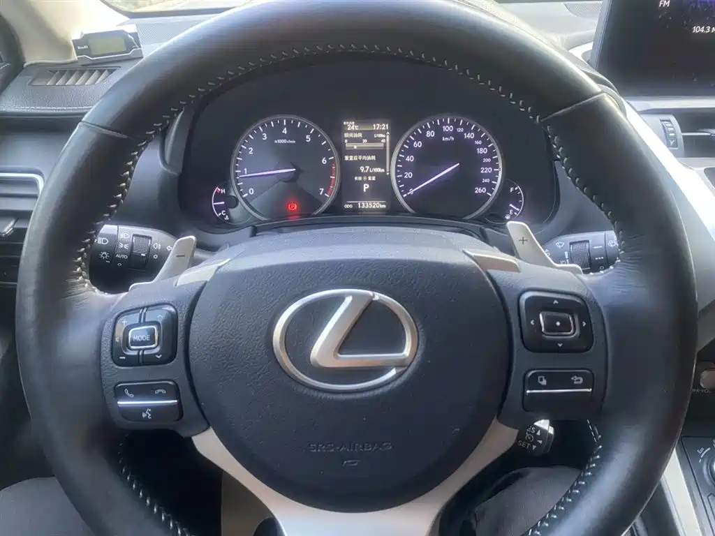Lexus NX 2018 Model 200 FWD Fengxing Edition China V фото 18