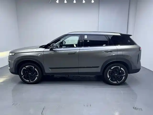 Chery Tiggo 7 C-DM 2025 2025 1.5T 120KM Royal