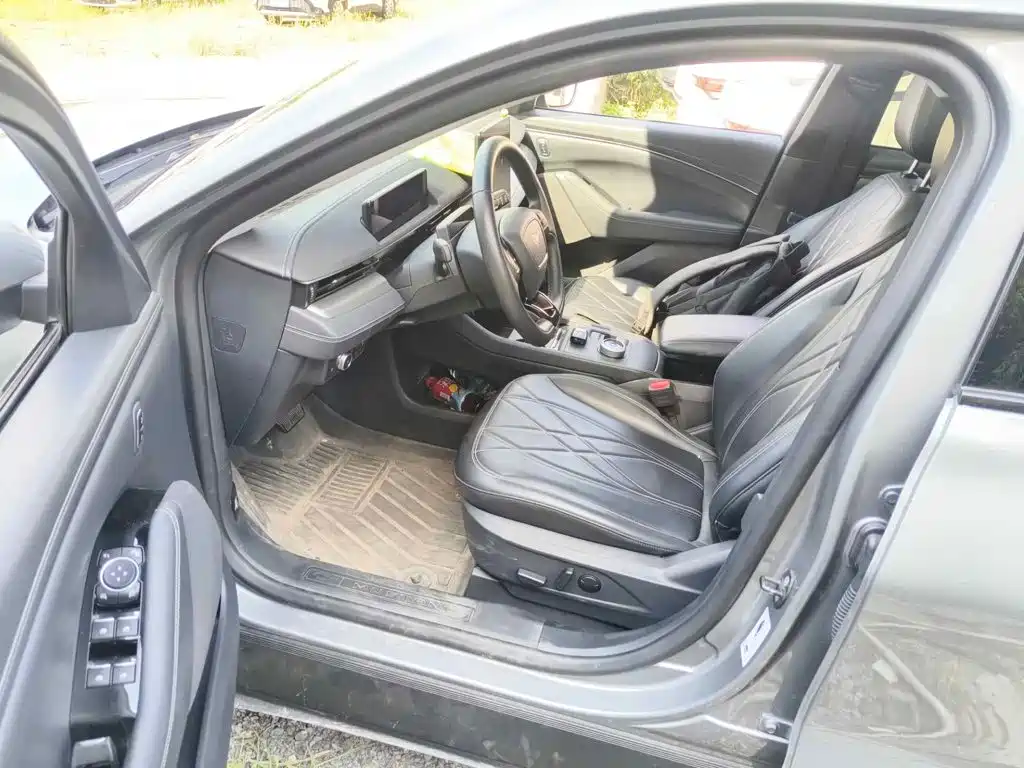 Ford Mustang Mach-E 2022 2021 Leap World RWD (Standard Range)
