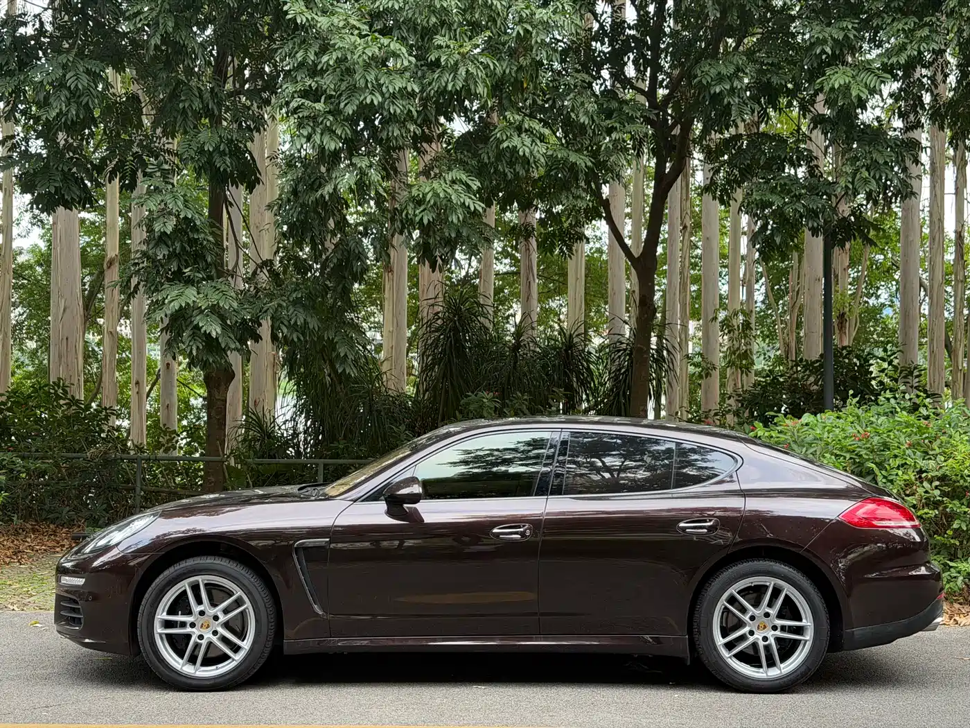 Porsche Panamera 2014 Panamera 3.0T фото 2