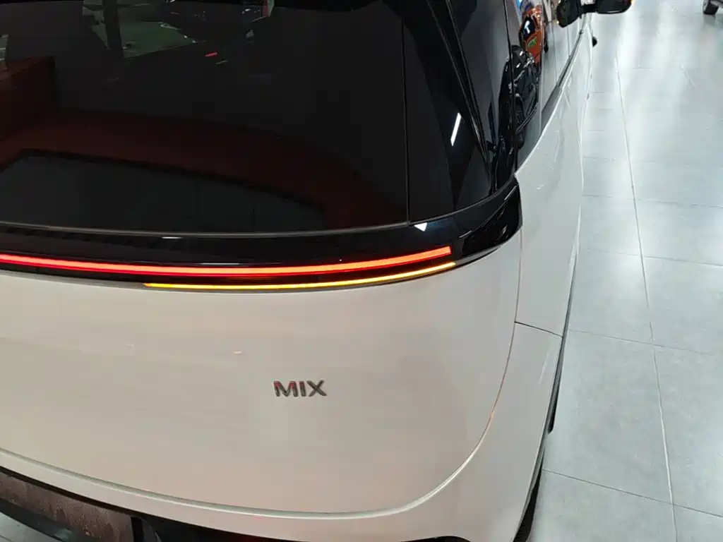 ZEEKR MIX 2026 2025 Smart Driving Edition