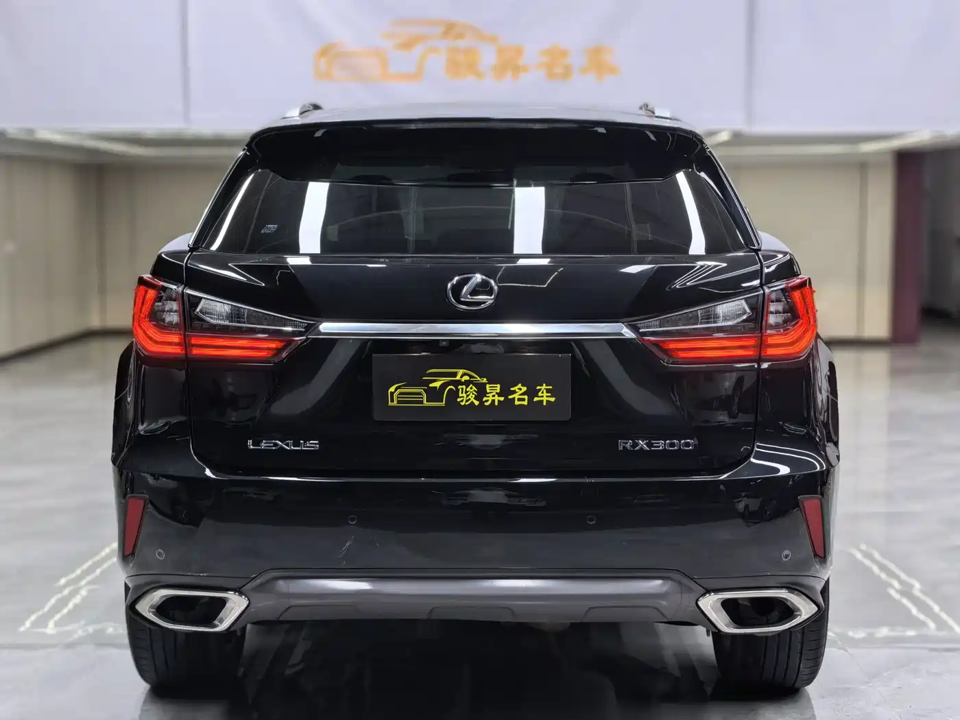 Lexus RX 2016 300 4WD Elegance Edition (China V) фото 5