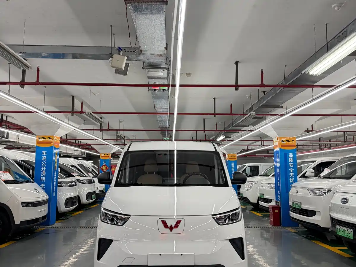 Фото 2 - Wuling Motors Wuling Yangguang
