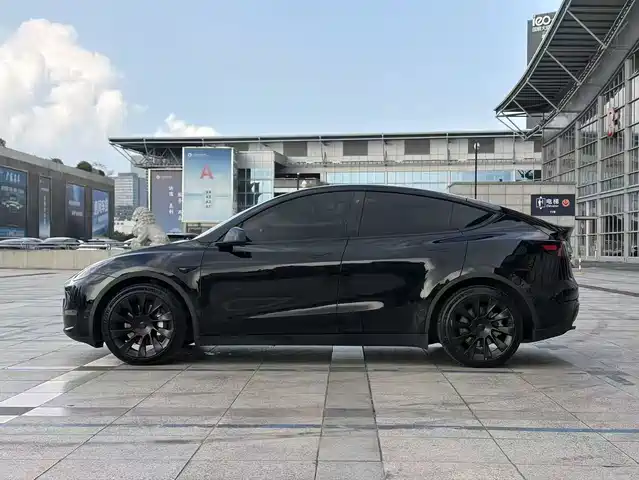 Tesla Model Y 2021 Standard Range Rear-Wheel Drive — фото 4