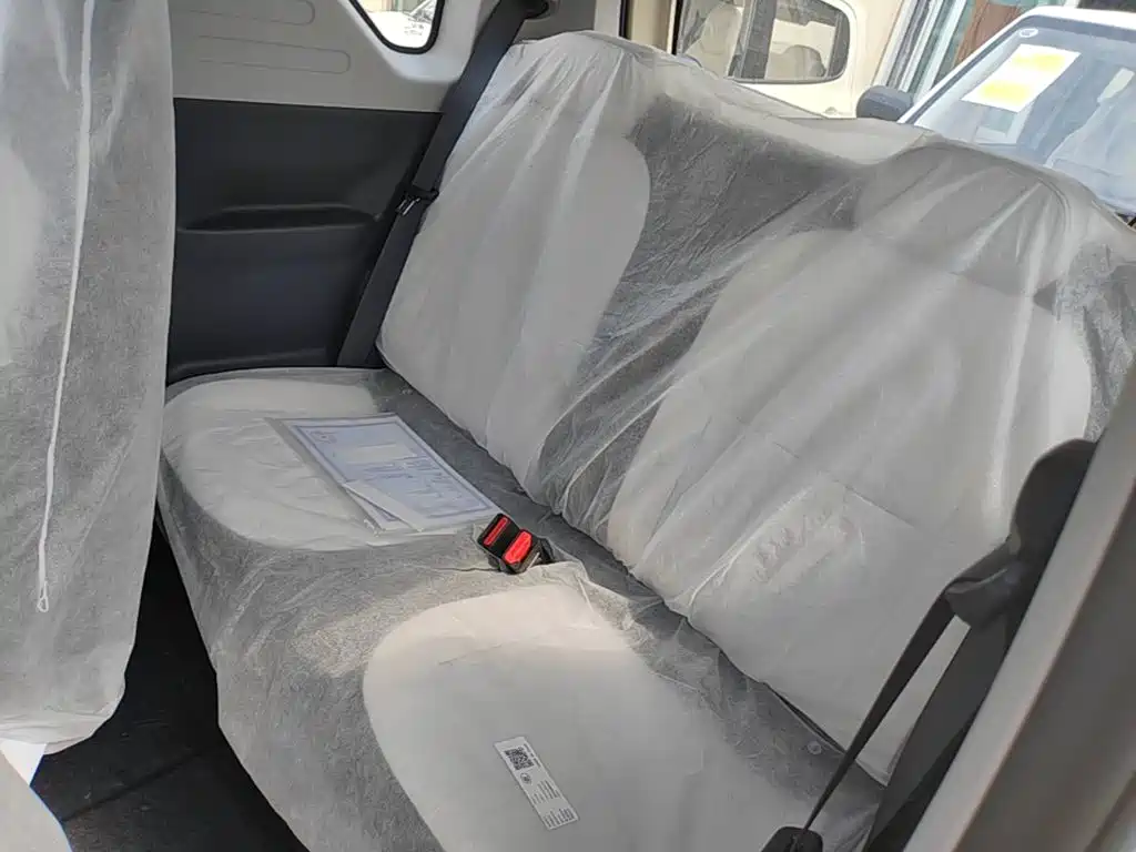 Geely Galaxy Panda 2026 2025 Panda mini 210km Vitality Bear