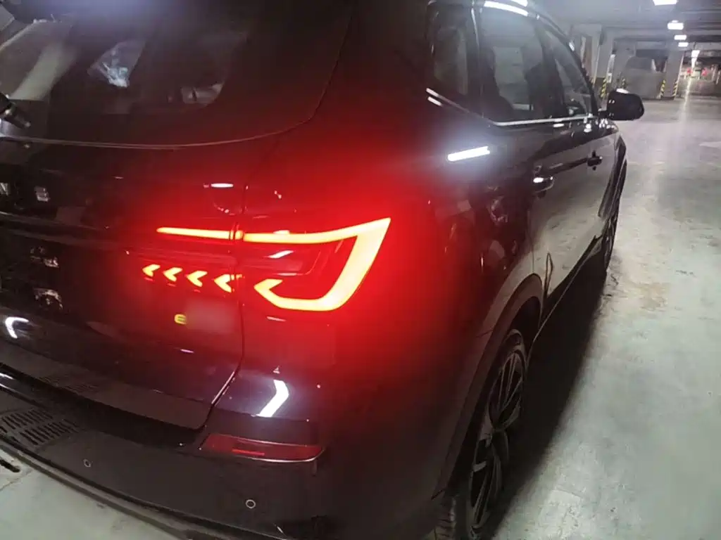 Фото 8 - Roewe RX5 New Energy
