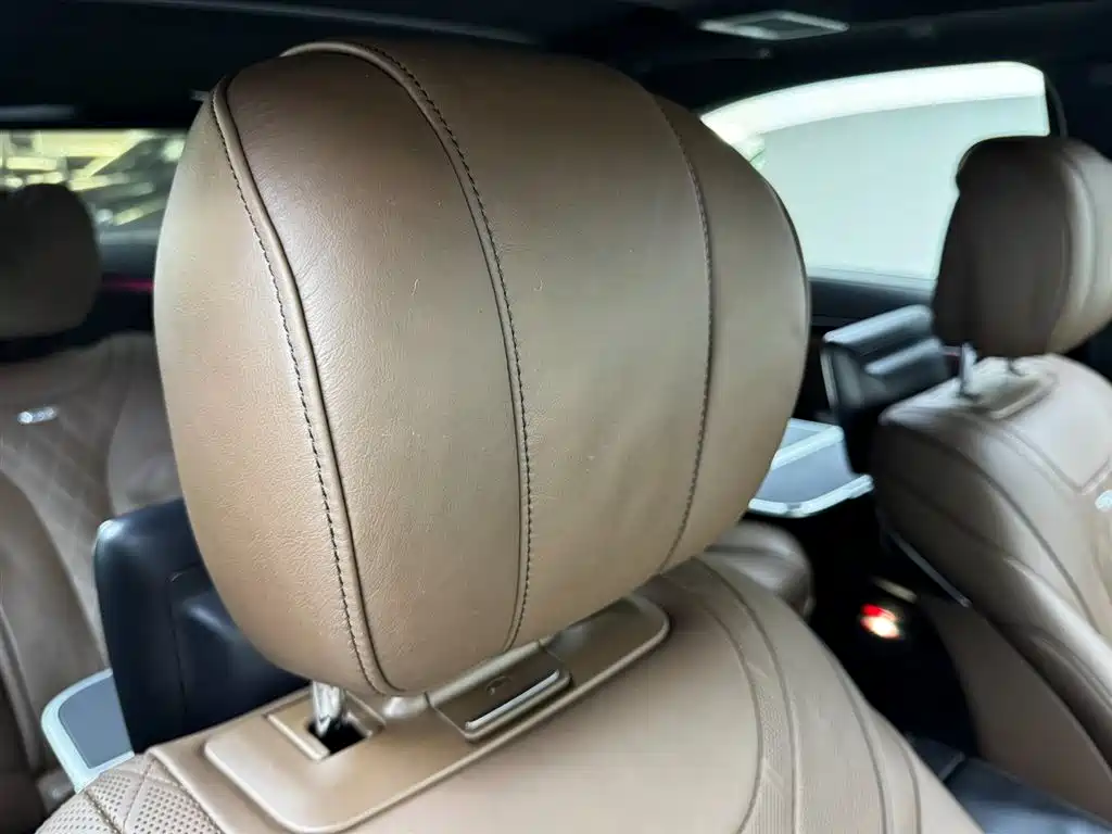 Mercedes-Benz S-Class 2014 S 600 L фото 18