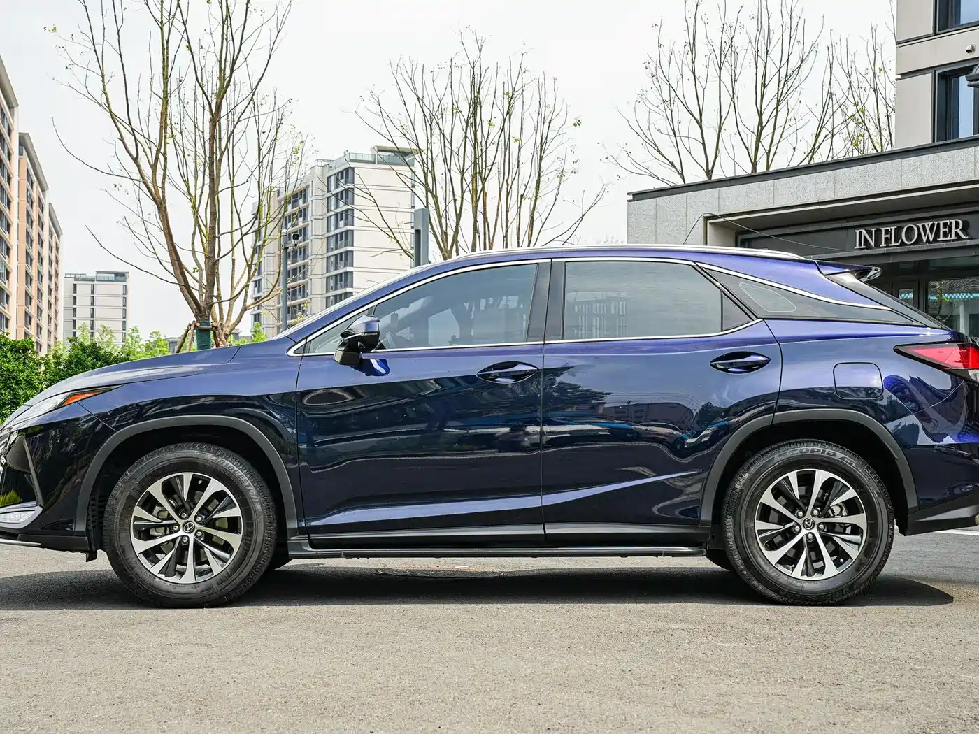 LEXUS RX