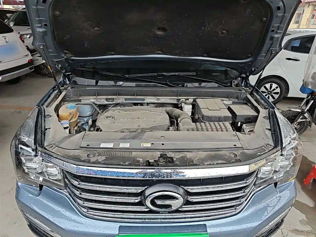GAC Trumpchi Trumpchi GS8 2017 320T AWD Luxury Smart Connect (7-Seater) фото 20