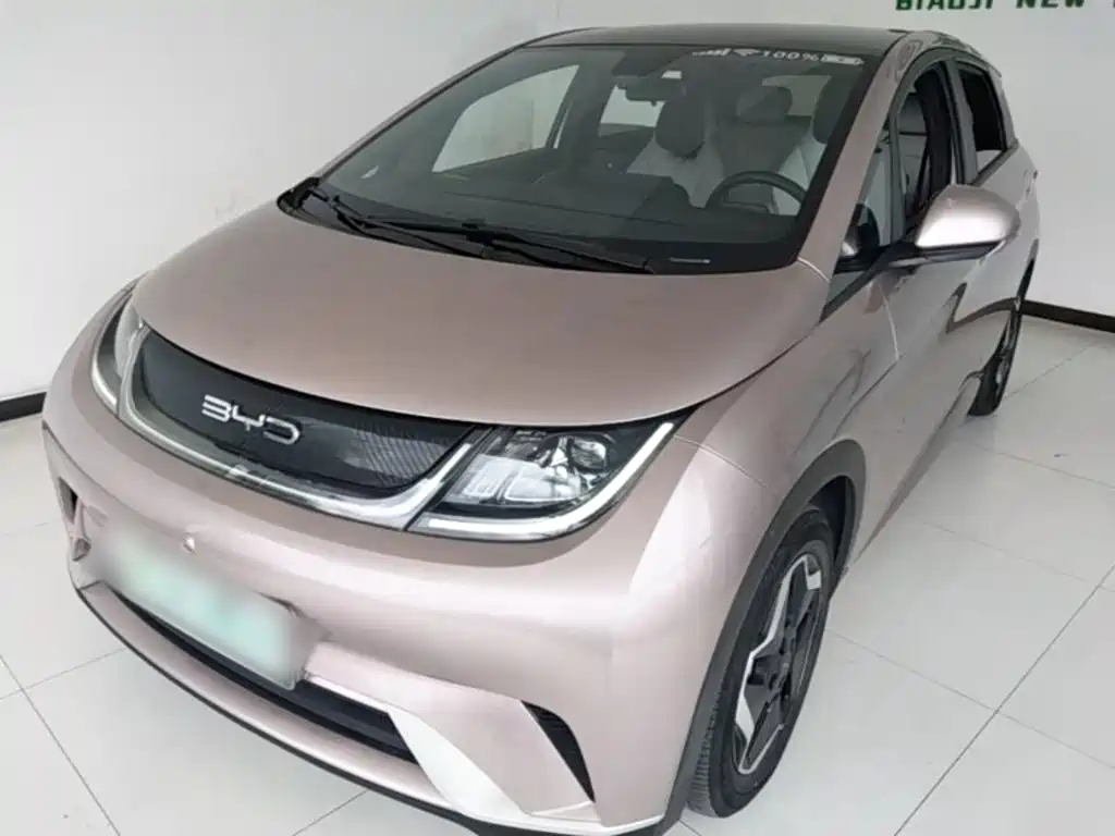 BYD Dolphin 2021 Model 405km Fashion Edition