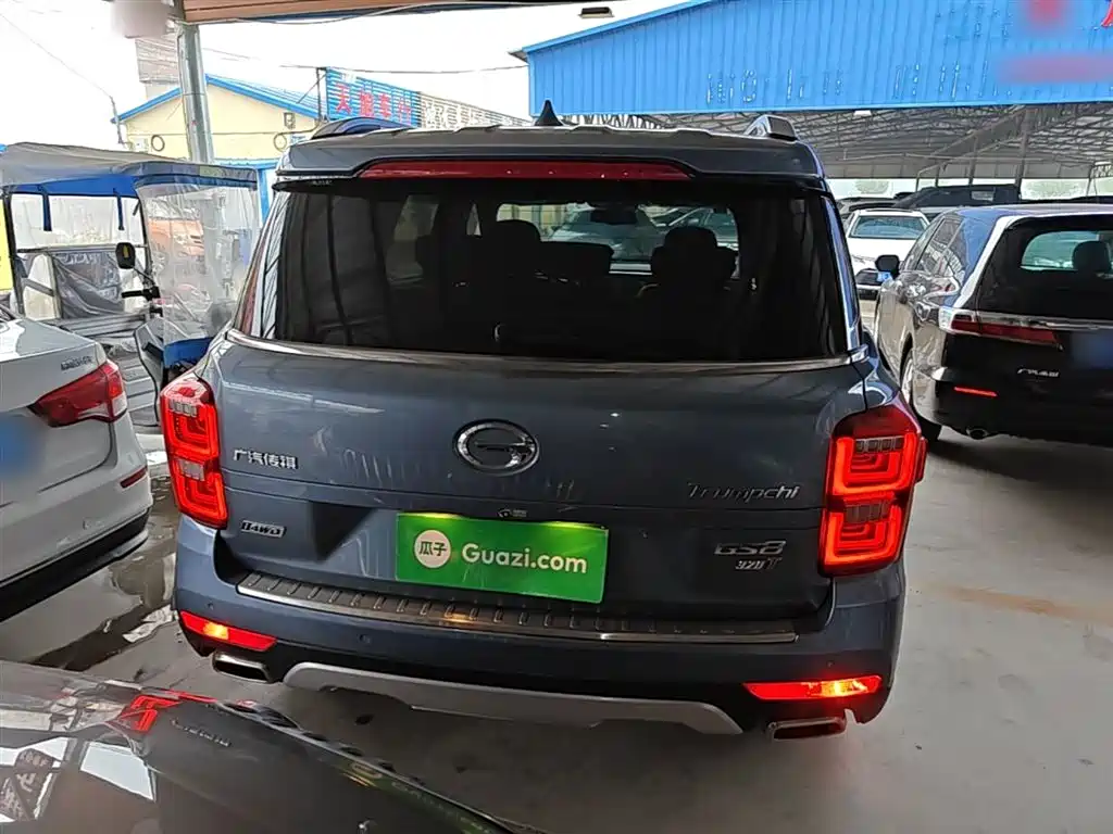 GAC Trumpchi Trumpchi GS8 2017 320T AWD Luxury Smart Connect (7-Seater) фото 6