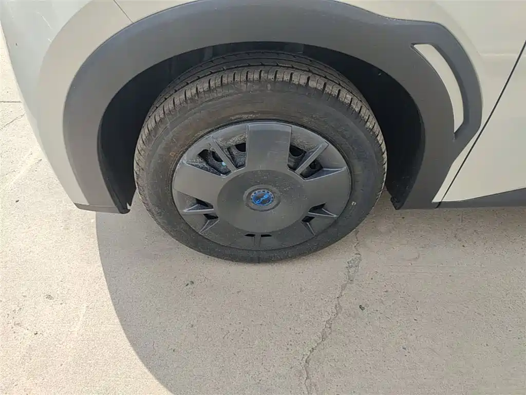 BYD Seagull 2025 Smart Drive Edition 305km Vitality Version фото 23