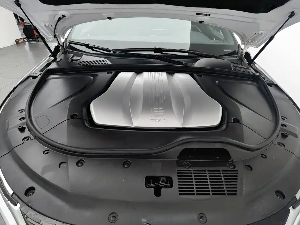 Фото 6 - BYD Tang New Energy