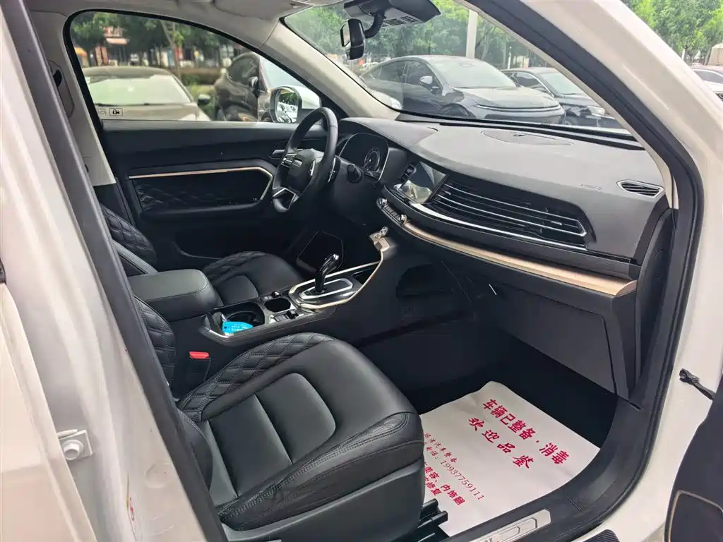 Haval H6 2020 1.5GDIT Automatic Platinum Champion Edition фото 7