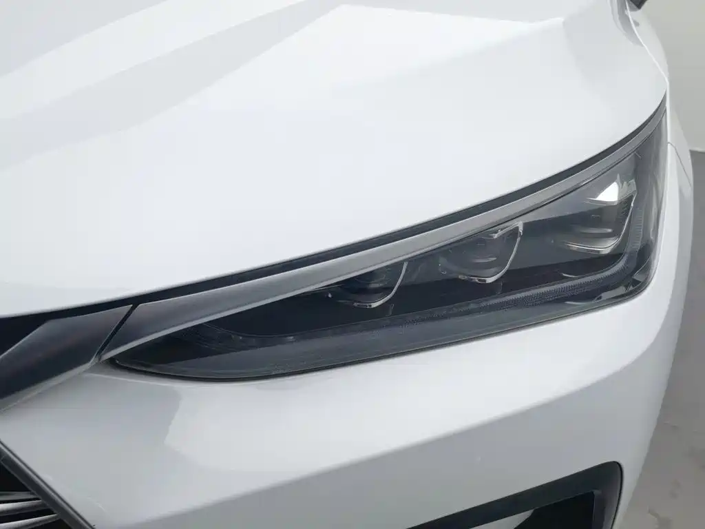 Фото 7 - BYD Tang New Energy