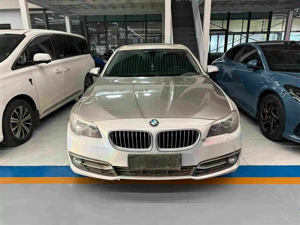 BMW 5 Series 2017 525Li Luxury Design Package фото 2