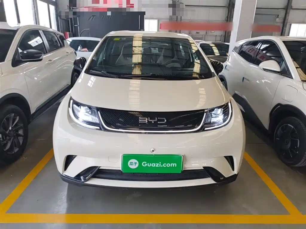 BYD Dolphin 2026 2025 420km Freedom Edition