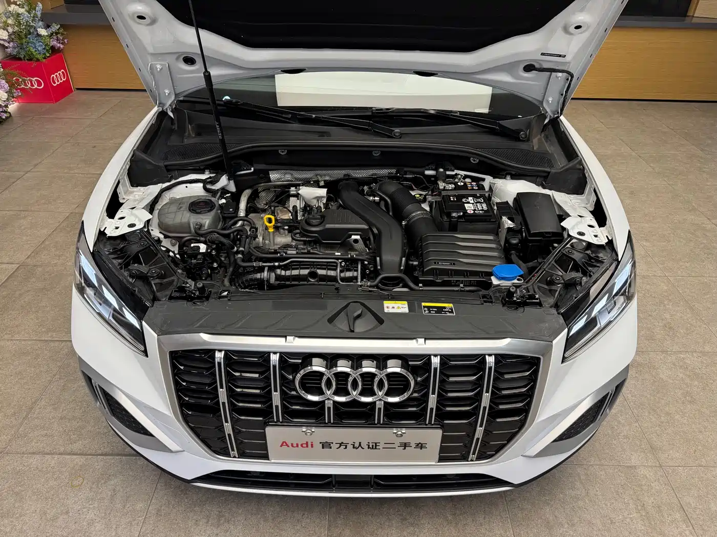 Audi Q2L 2024 2024 35TFSI Fashion Elegance