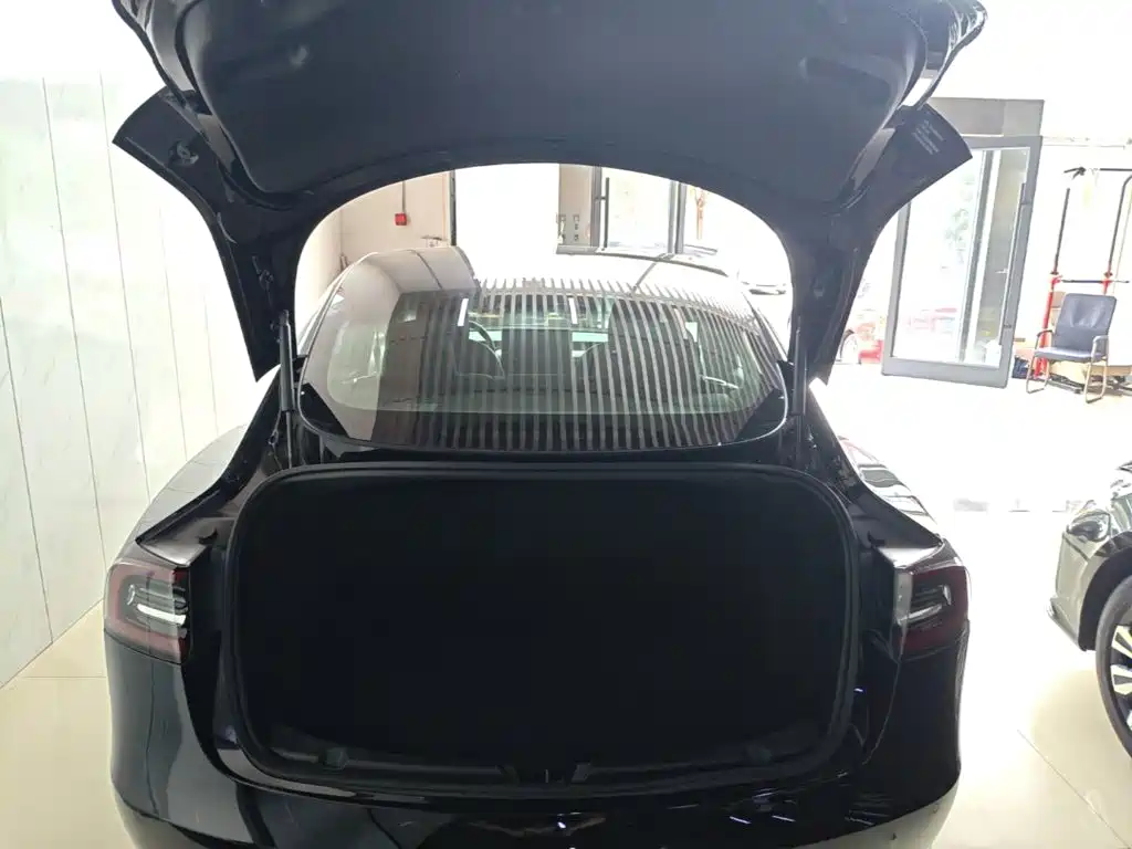 Фото 19 - Tesla Model 3