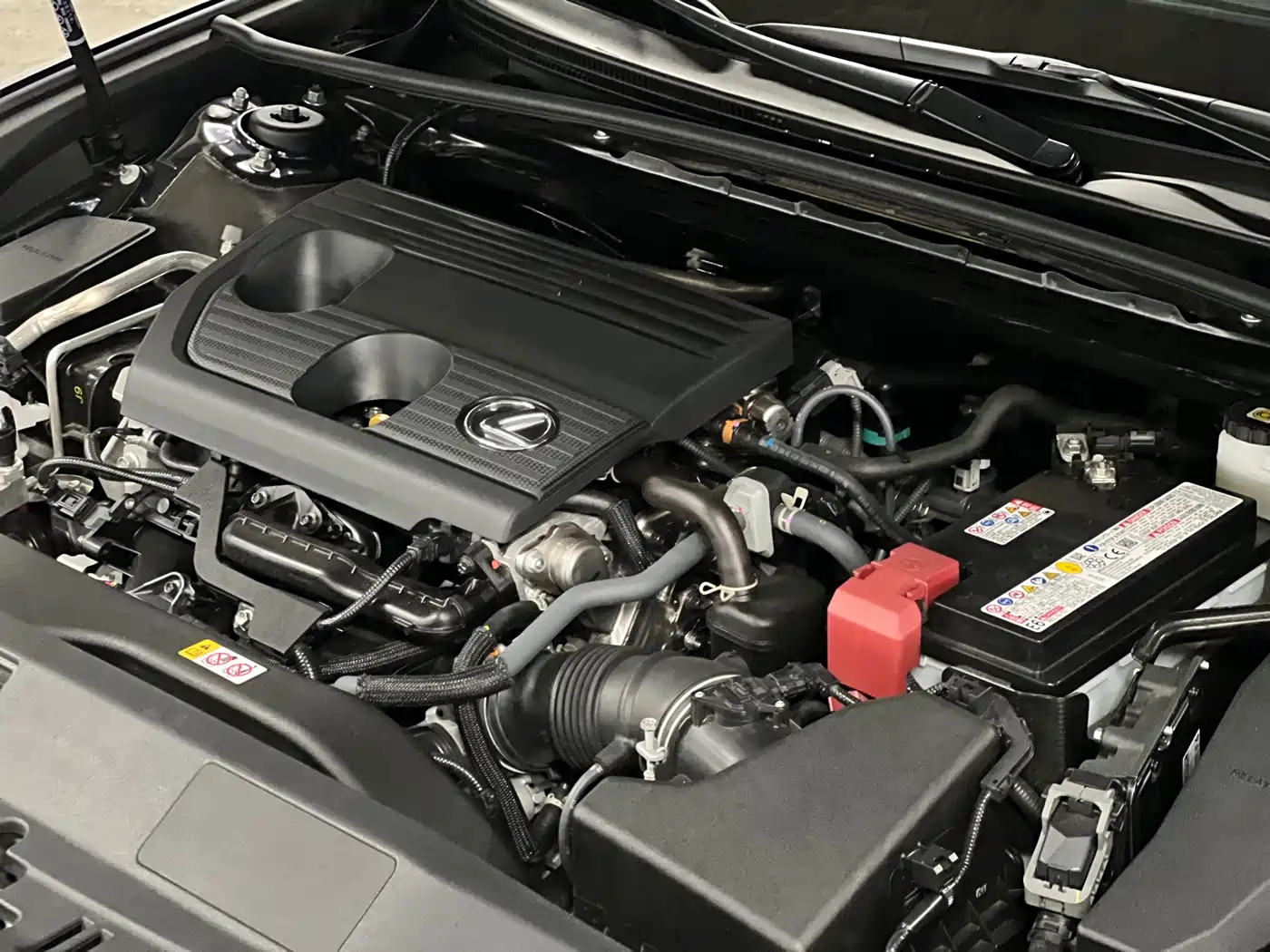 Lexus ES 2024 200 Premium Edition фото 18