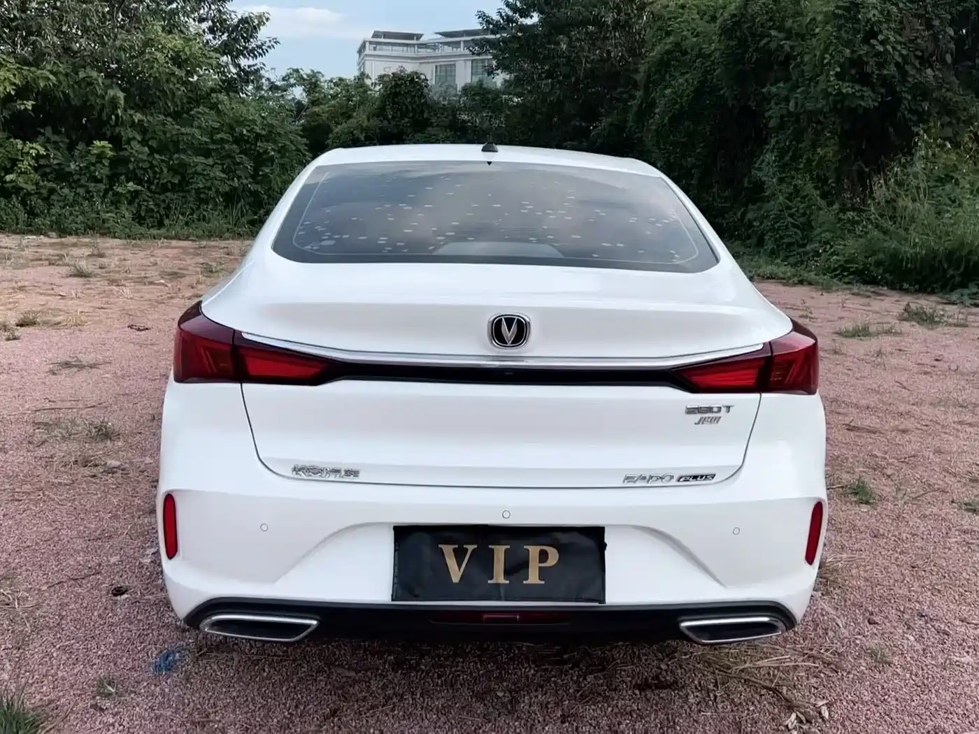 Фото 5 - Changan Eado