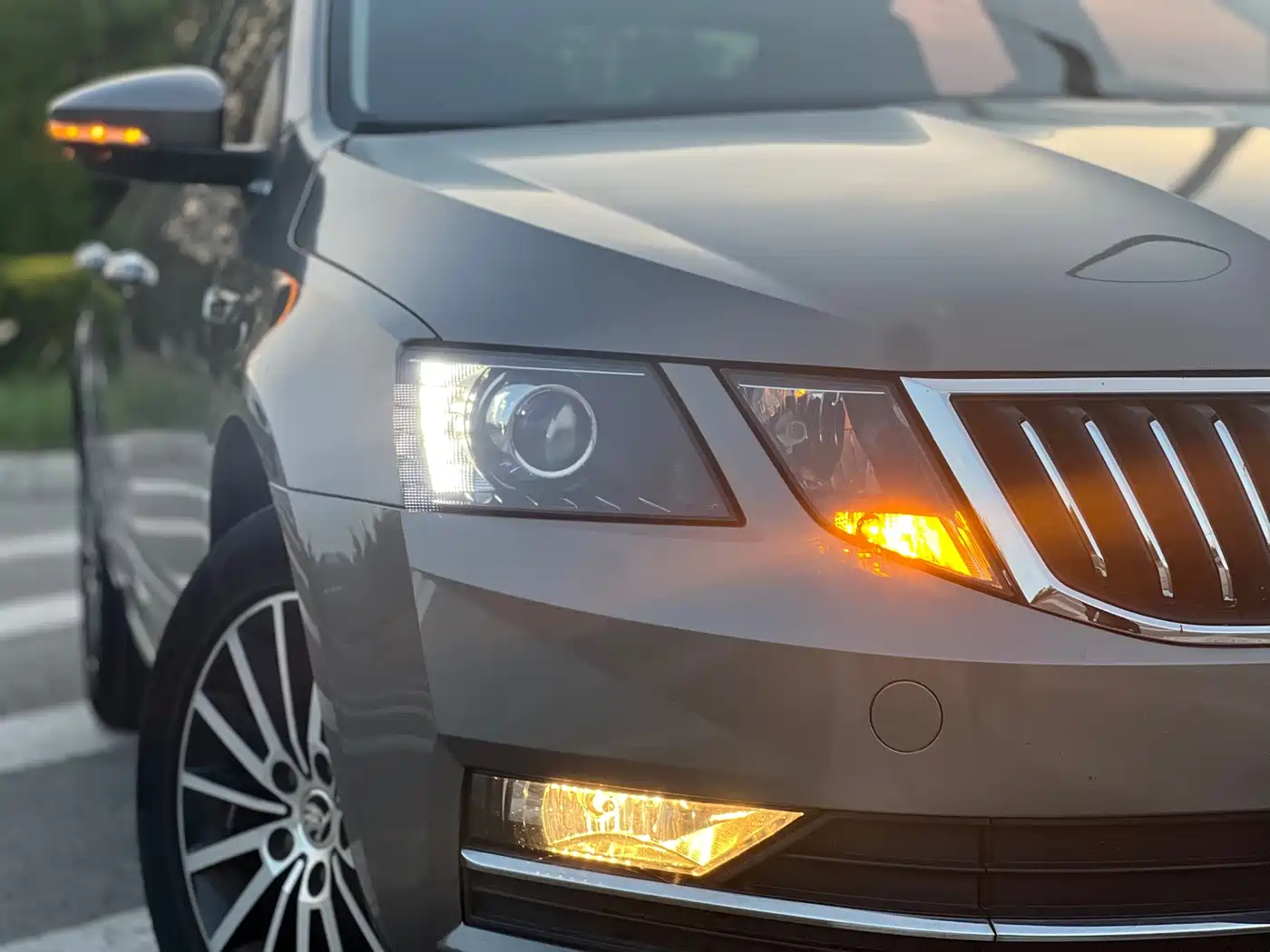 Škoda Octavia 2018 TSI230 DSG Luxury Edition фото 16