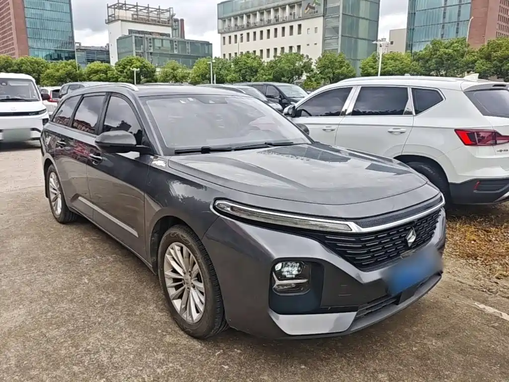 2021 Baojun Valli