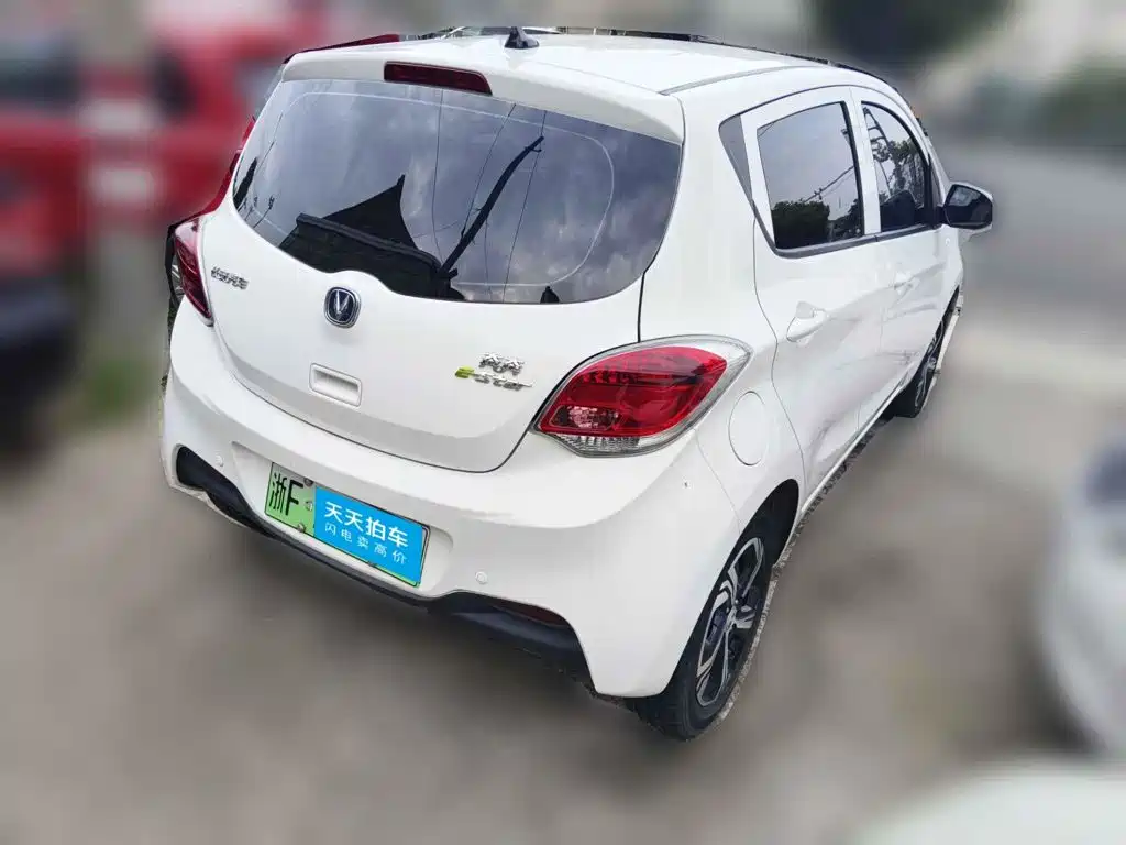 Changan Benben E-Star 2021 2021 National Edition Delight (Ternary Lithium)