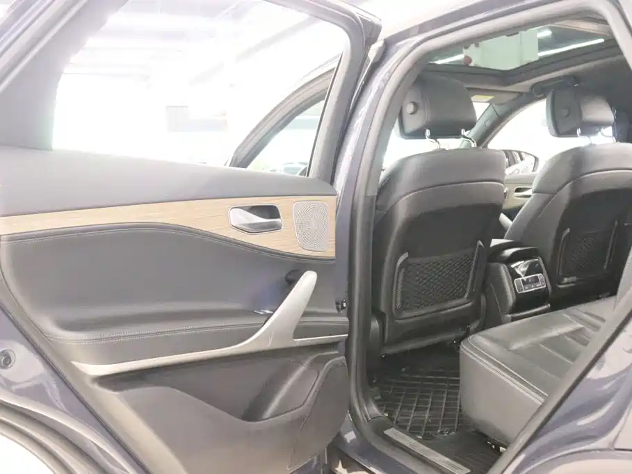 Denza X 2021 2020 Model PHEV Flagship Edition