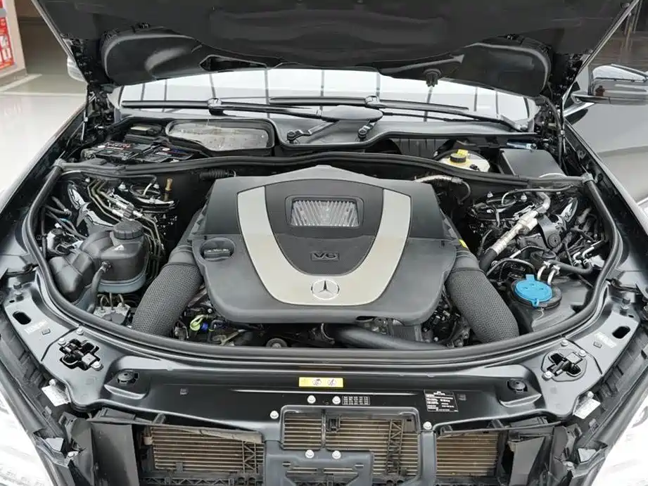 Mercedes-Benz S-Class 2010 S 300 L Luxury фото 33