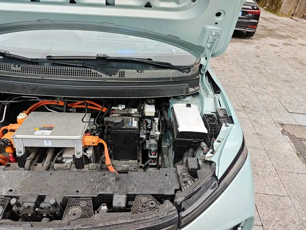 Geely Geometry E Firefly 2024 2024 Model 401km Fluorescent