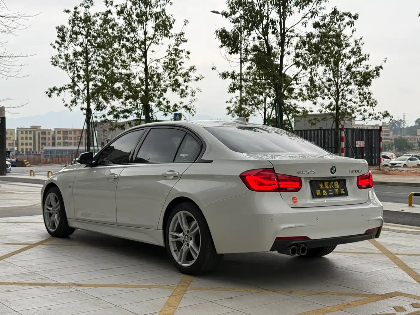 BMW 3 Series 2019 320Li M Sport Package фото 23