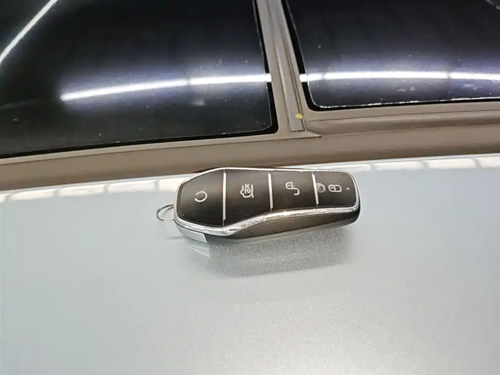 BYD Han 2023 DM-i Champion Edition 121KM Premium фото 9