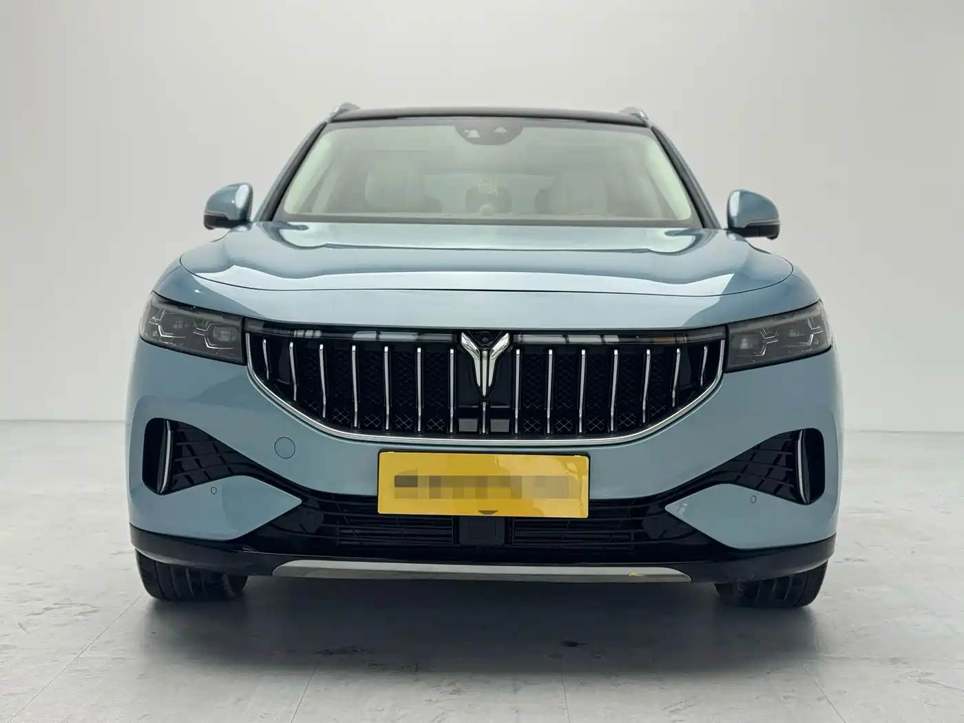 Voyah Auto VOYAH FREE 2021 AWD Standard Range Extender Exclusive Luxury Package фото 2