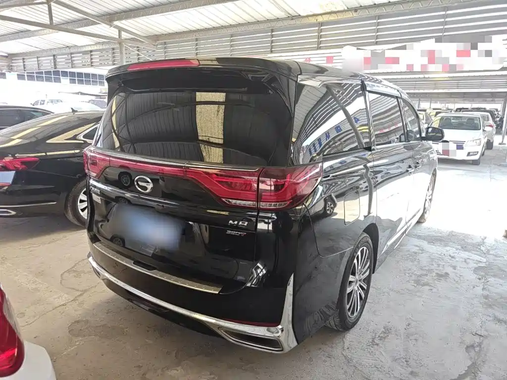 GAC Trumpchi Trumpchi M8 2021 Leading Show Series 390T Prestige Edition фото 11