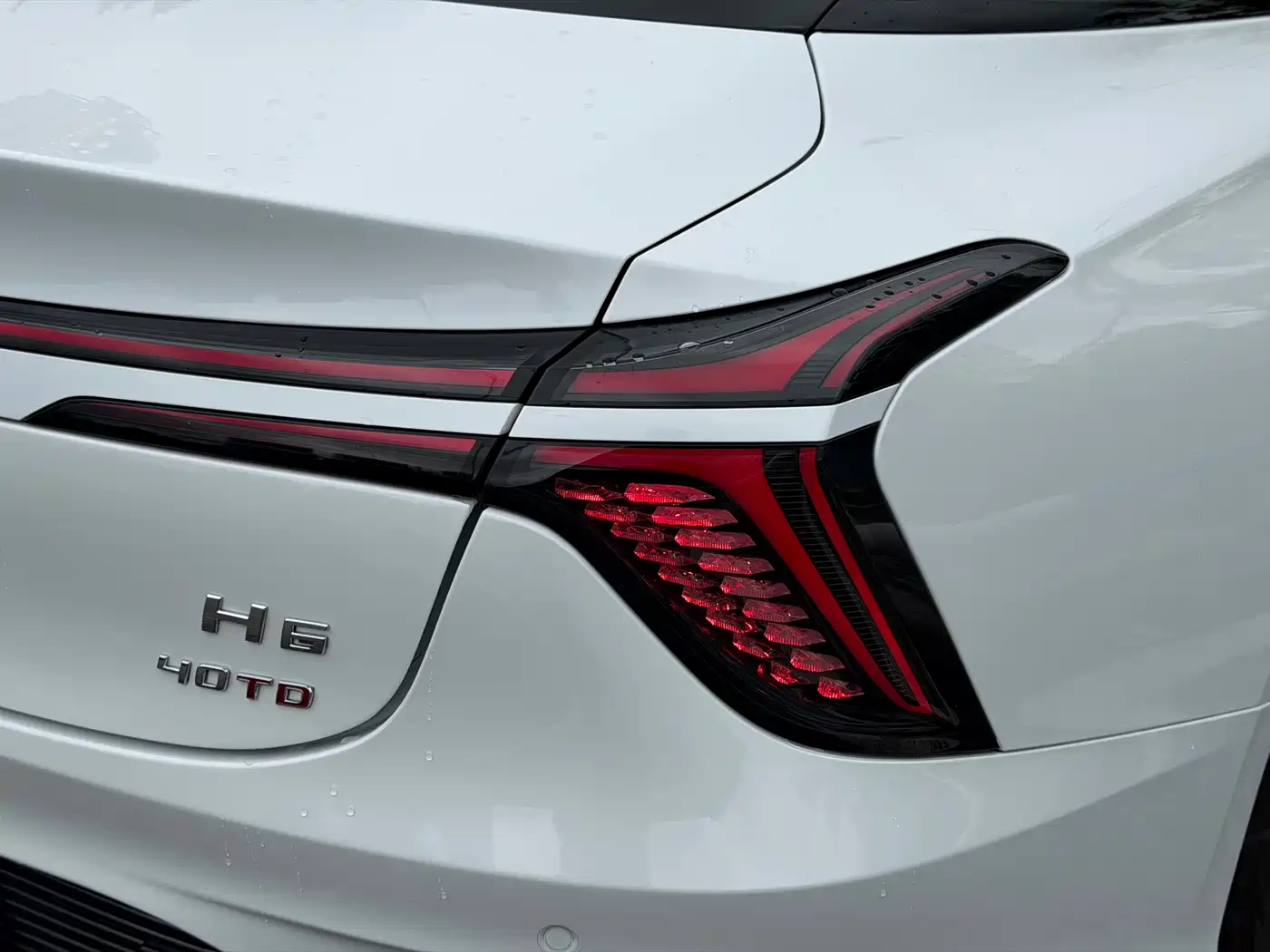Hongqi H6 2023 2.0T Elegance Edition фото 24