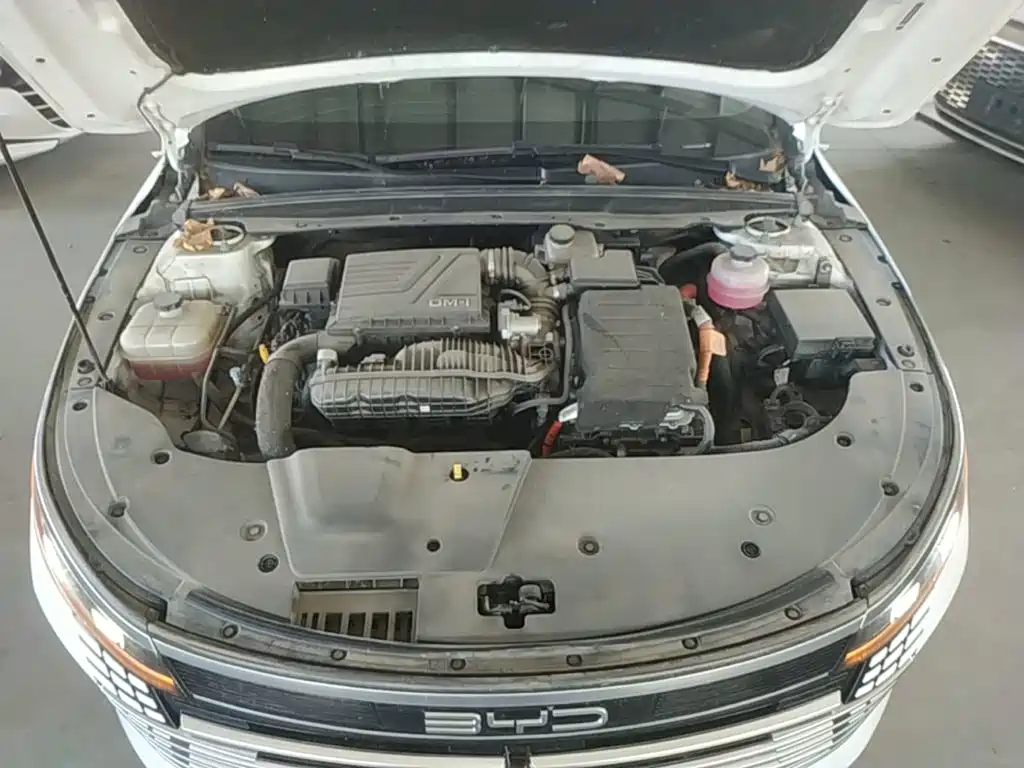 BYD Destroyer 05 2024 2024 Glory Edition DM-i 120KM Luxury