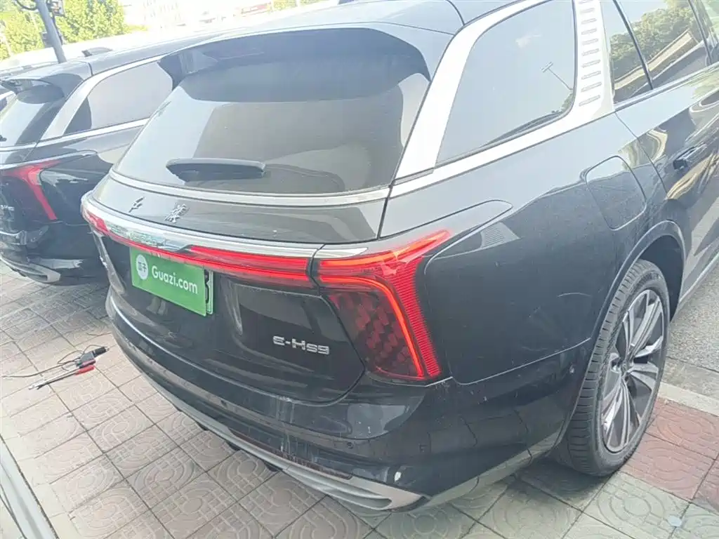 Hongqi E-HS9 2021 460km Flagship Comfort 6-seater фото 6