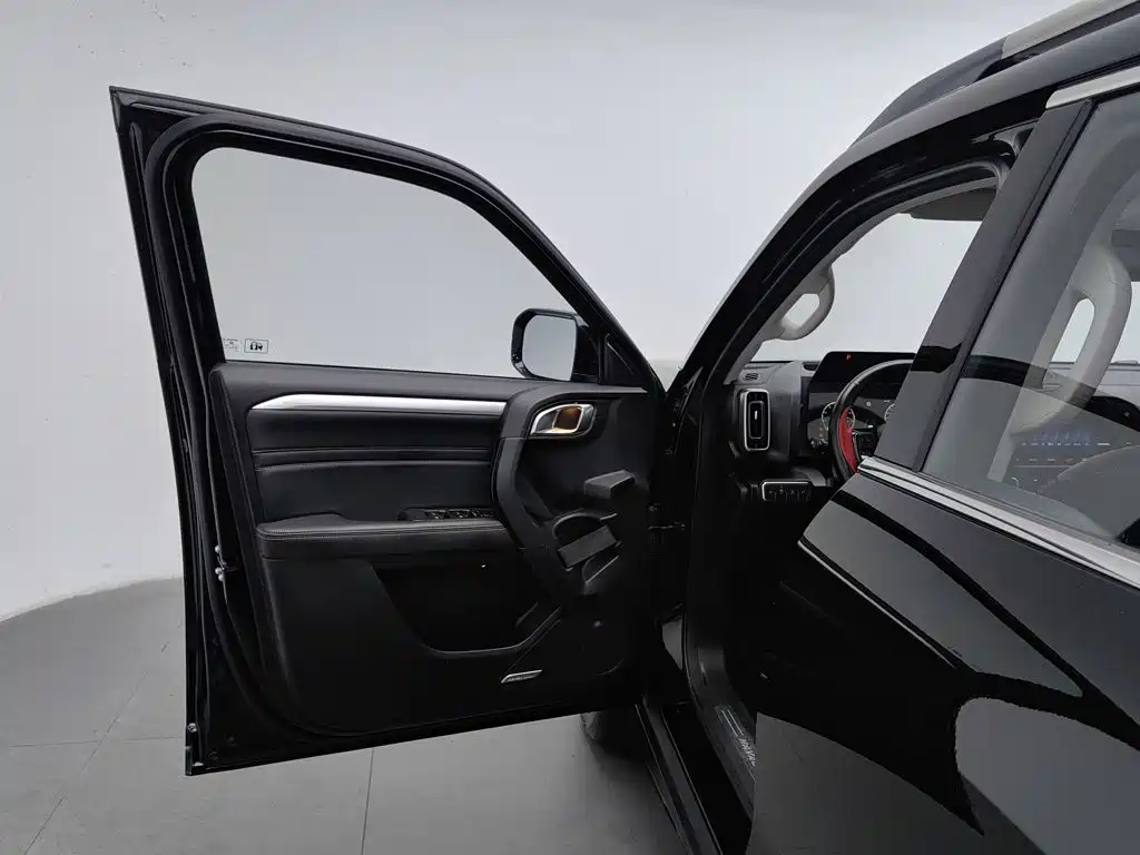 Фото 8 - Haval Big Dog