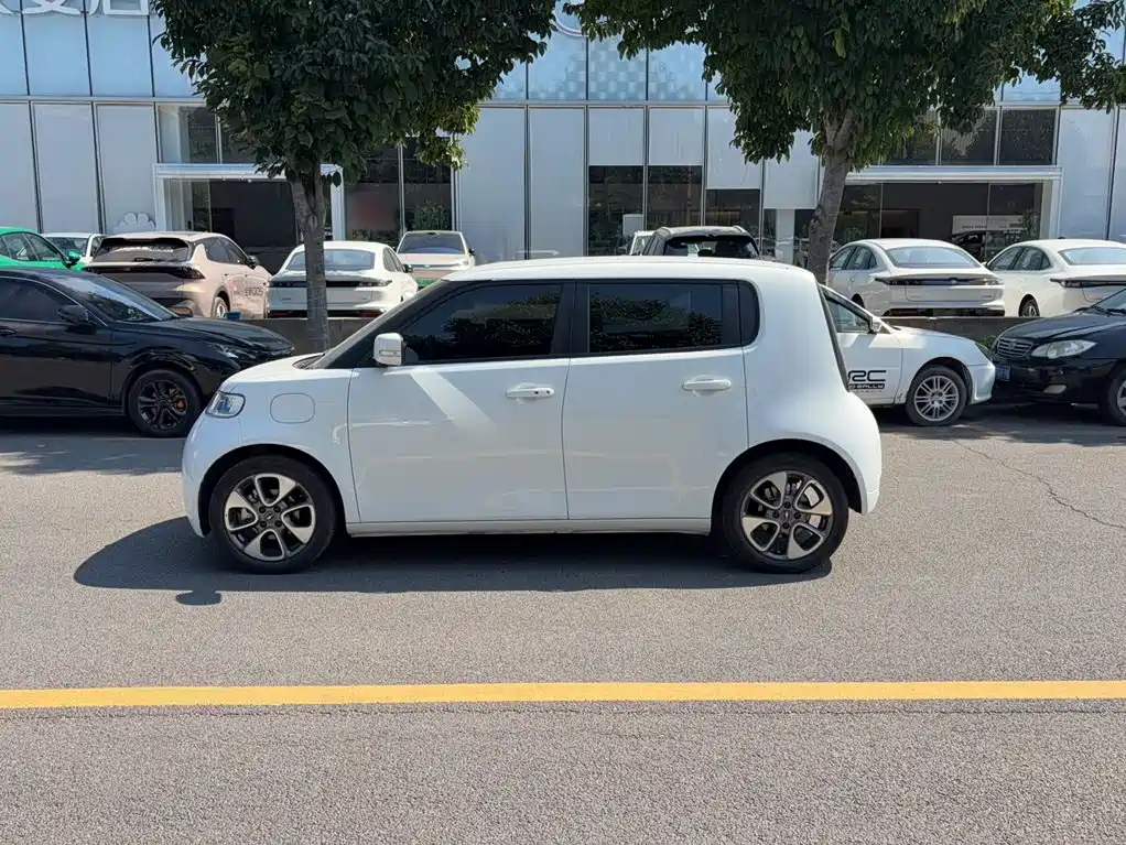 Ora White Cat 2021 2022 Upgraded 305km Luxury (NMC)