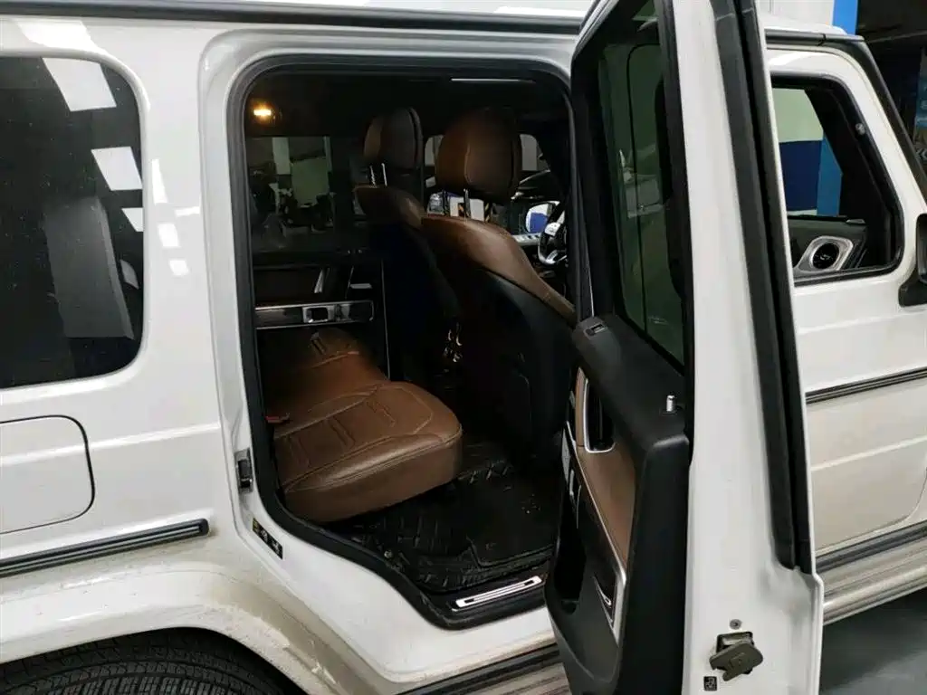 Mercedes-Benz G-Class 2019 G 500 фото 10