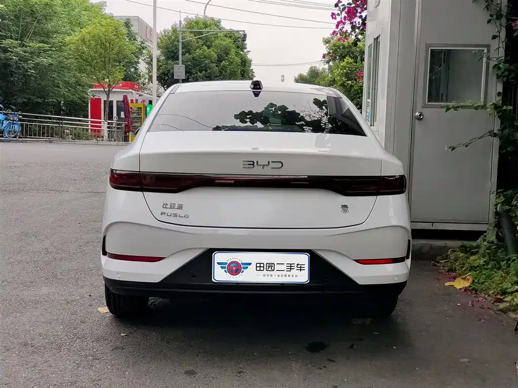 BYD Qin PLUS 2025 DM-i Smart Drive Edition 55KM Surpassing Type фото 5