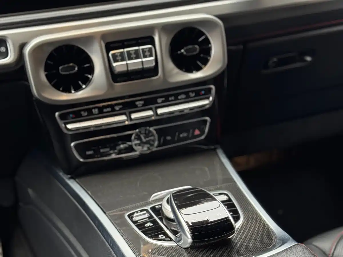 Mercedes-Benz G-Class 2019 G 500 фото 20