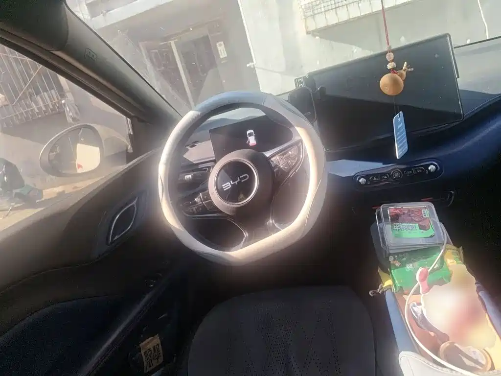 BYD Seagull 2026 2025 Smart Drive Edition 305km Freedom Version