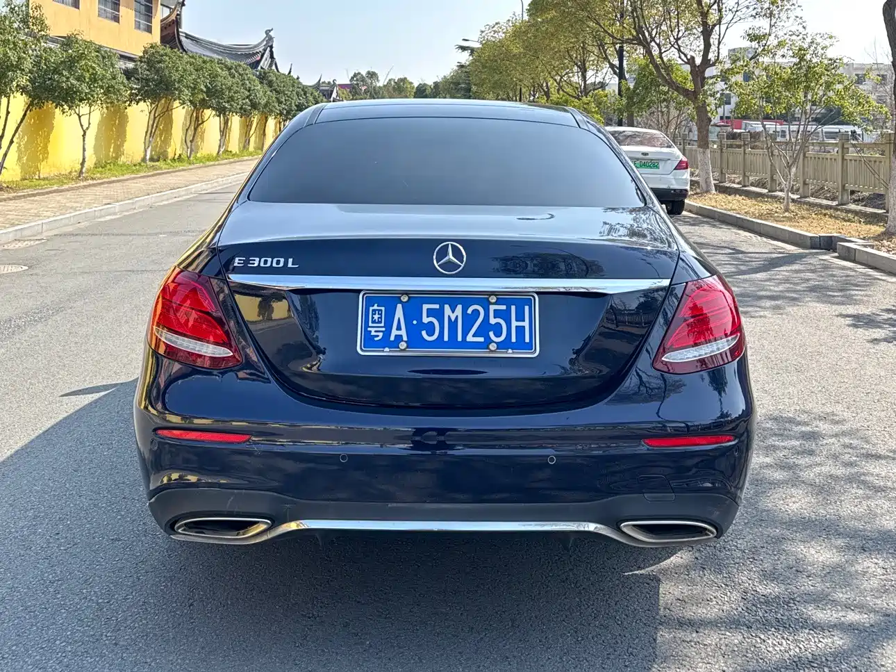 Mercedes-Benz E-Class 2018 Facelift E 300 L Sport Fashion фото 4
