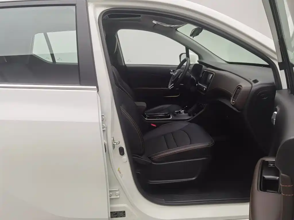 GAC Group Qizhi EV 2019 2019 EV530 Smart Edition