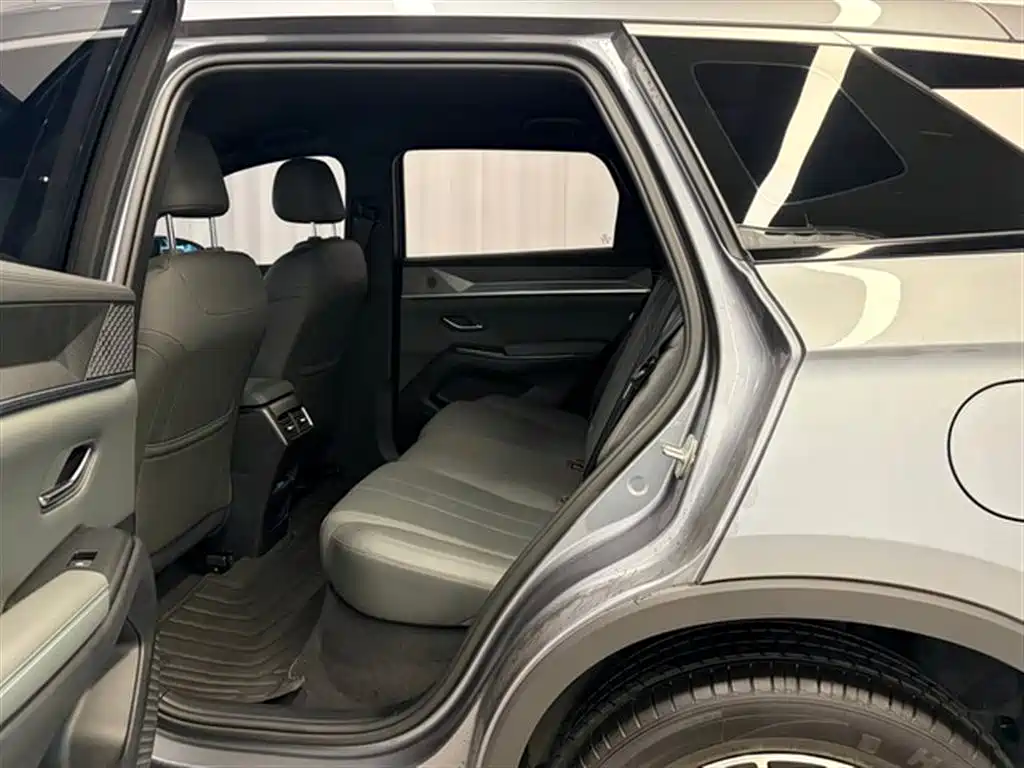 BYD Song Pro New Energy 2025 2nd Generation Smart Drive Edition DM-i 75KM Leading Type фото 13